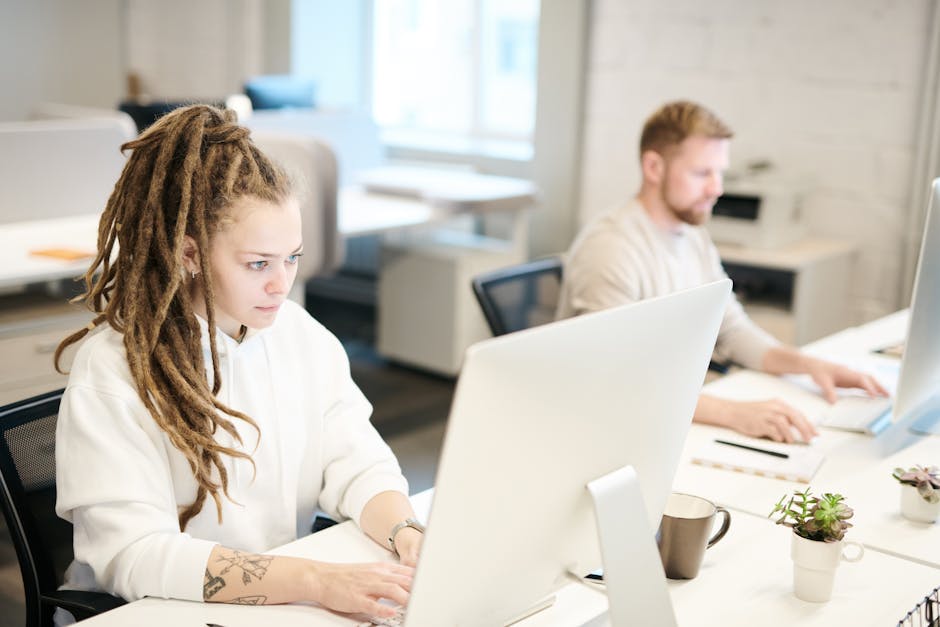 Курсы программирования и веб-дизайна